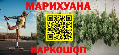тгк Кингисепп