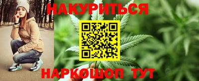 тгк Кингисепп