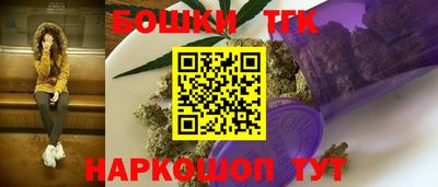тгк Кингисепп