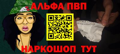 тгк Кингисепп