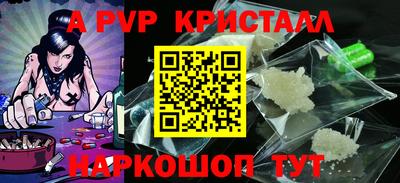 тгк Кингисепп