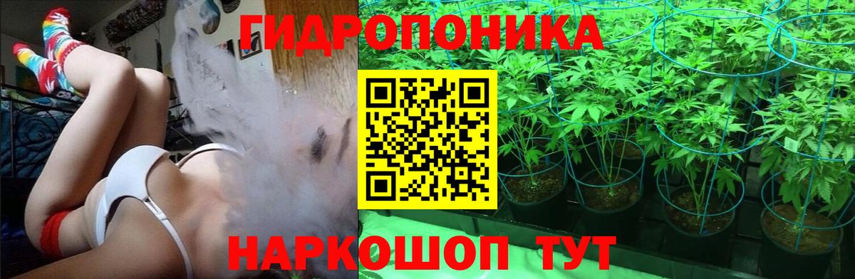 Шишки марихуана Ganja  Канабис AK-47  Лениногорск  Вход с VPN 